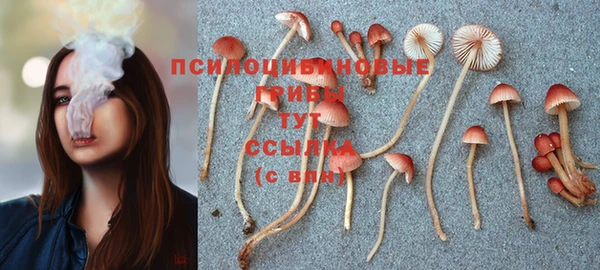 крисы Волосово