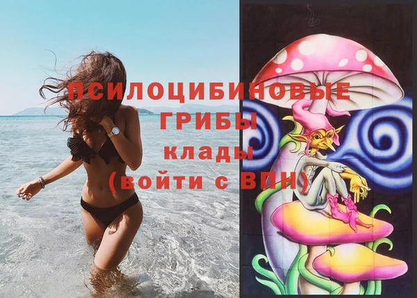 ALPHA PVP Володарск