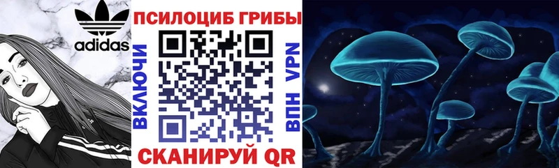 Псилоцибиновые грибы ЛСД  Батайск 